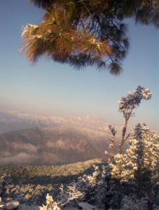 Shikhar in winter